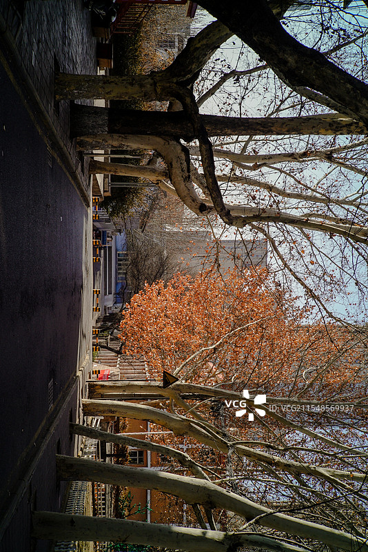 临汾街景图片素材