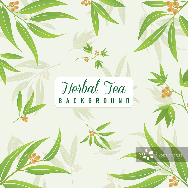 绿茶叶图案背景草本叶子图片素材