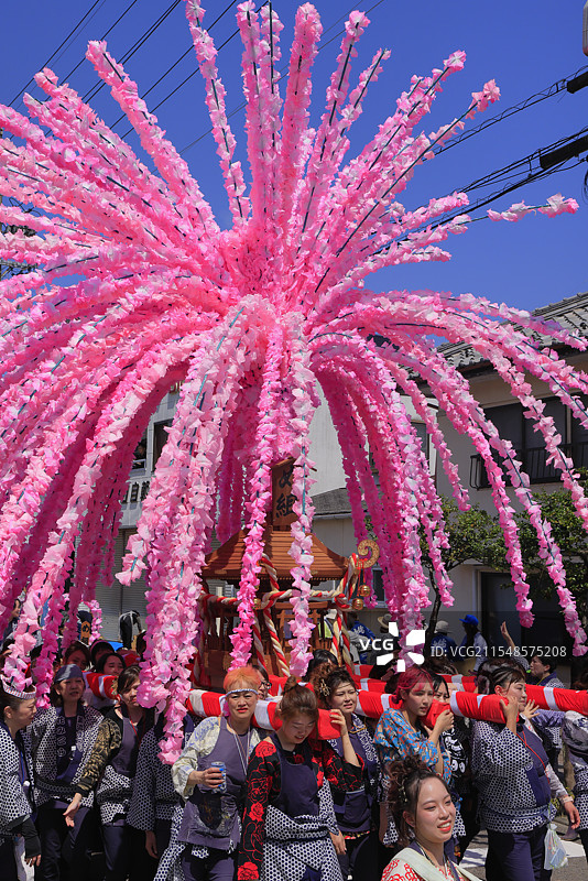 美浓节，花轿（可移动神社），岐阜县美浓图片素材