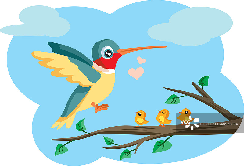 蜂鸟育儿监督后代图片素材