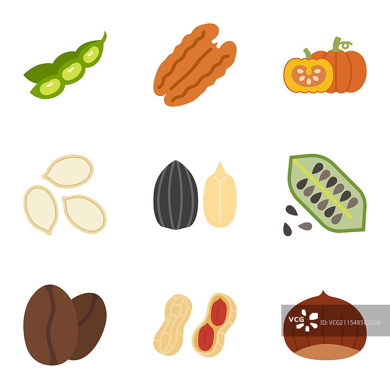 坚果和种子图标集，孤立在一个背景上图片素材