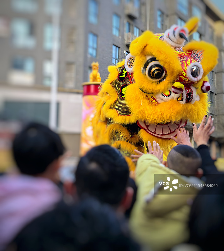 舞狮贺新春图片素材