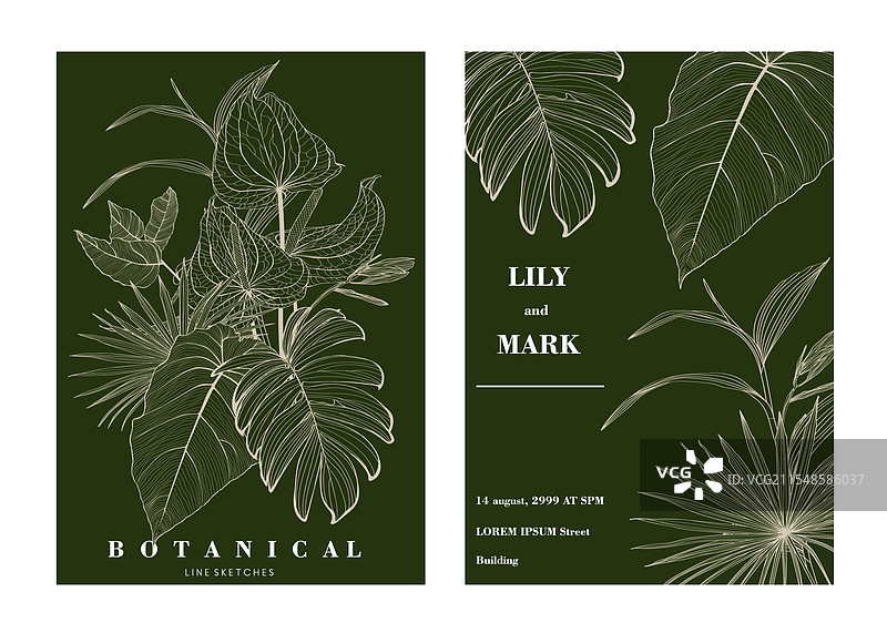 热带植物雕刻背景图片素材