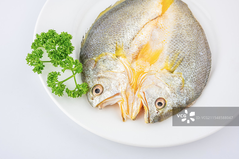 一条新鲜黄鱼鲞图片素材