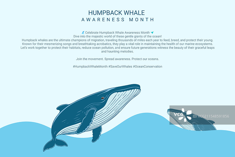 座头鲸意识月图片素材