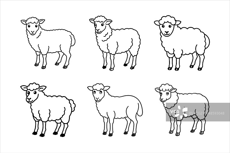 可爱的黑白绵羊用于上色图片素材