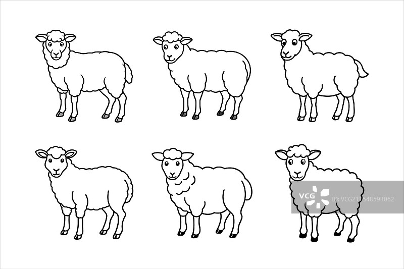 可爱的黑白绵羊用于上色图片素材