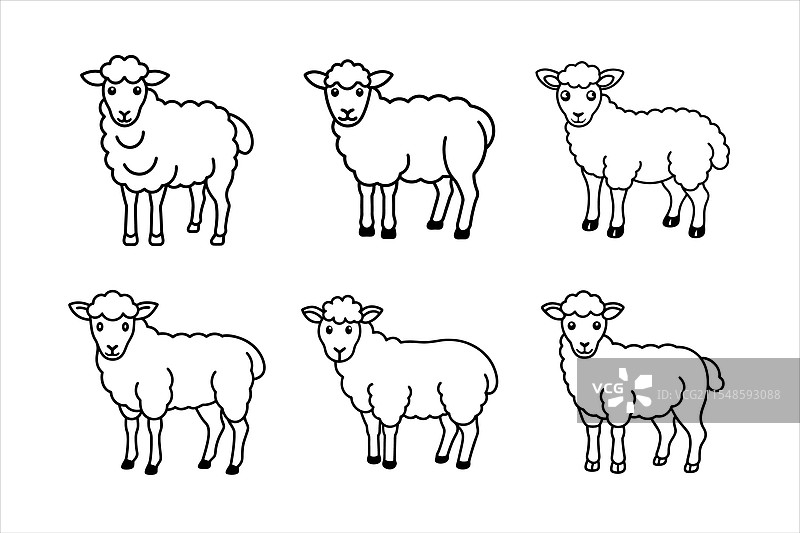 可爱的黑白绵羊用于上色图片素材