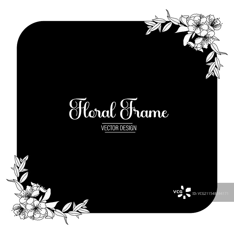 花卉框架设计图片素材