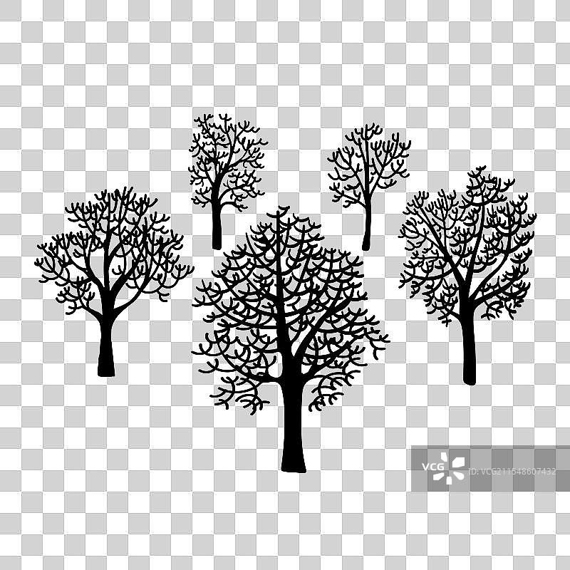 冬季树木图片素材