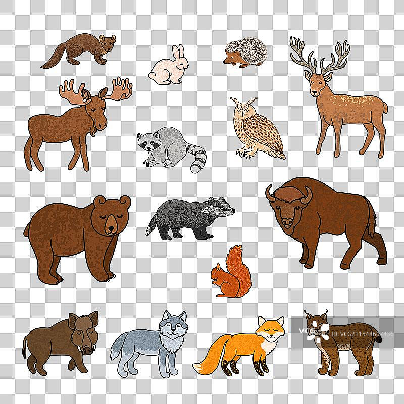 色彩斑斓的森林动物组合图片素材