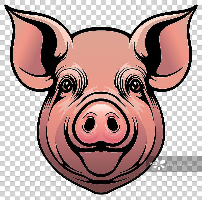 彩色的猪头画作图片素材
