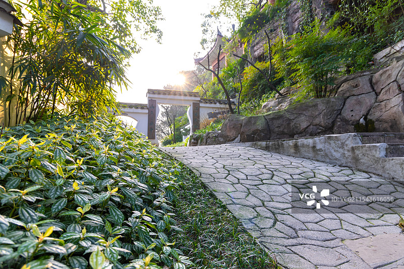 重庆南山植物园内的小径步道图片素材