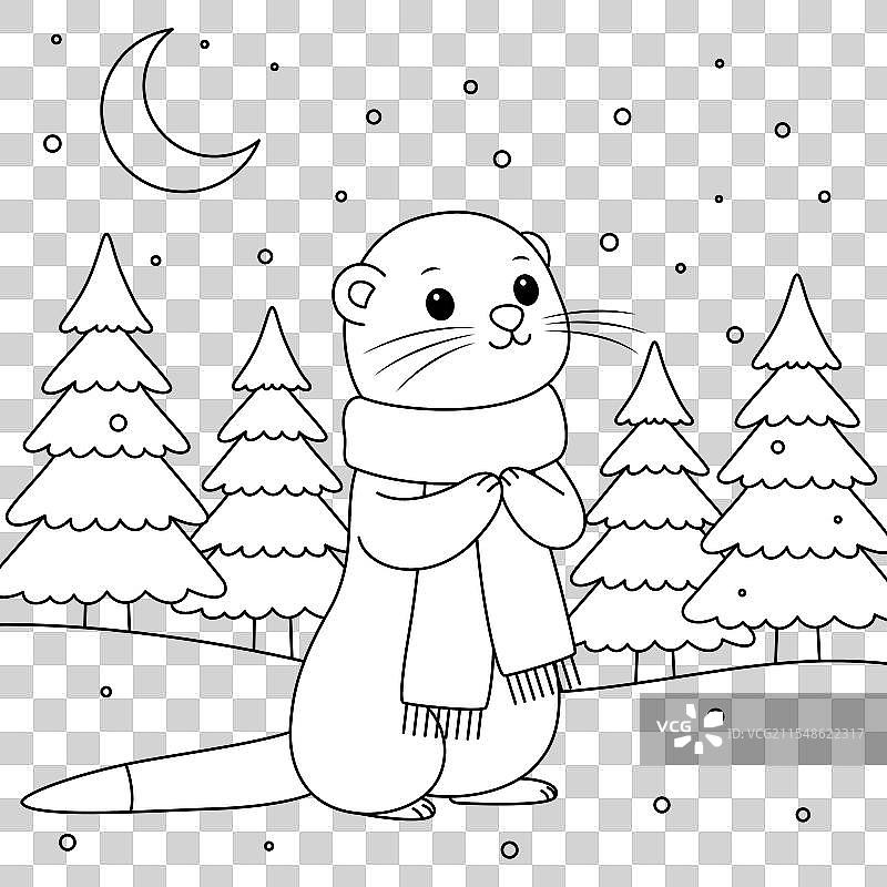 可爱的白鼬轮廓涂色页，圣诞节和图片素材