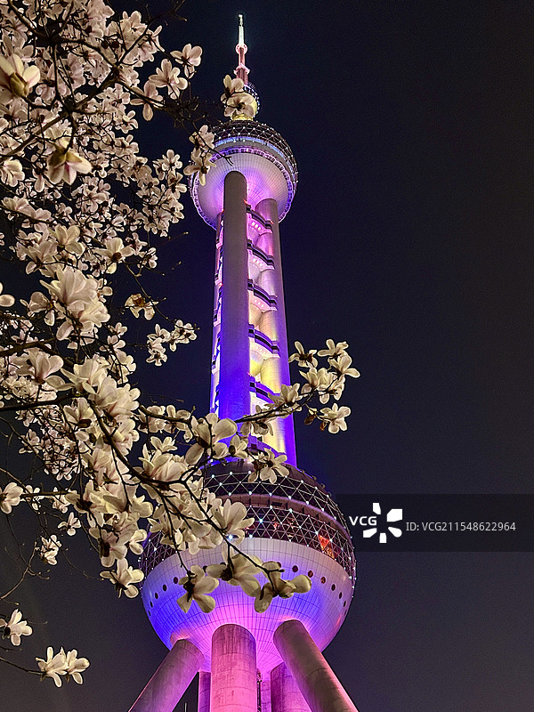 上海东方明珠玉兰花夜景图片素材