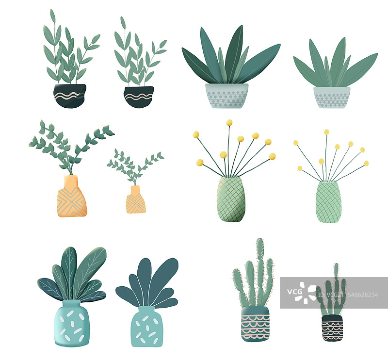 盆栽 盆景 室内植物 绿植图片素材