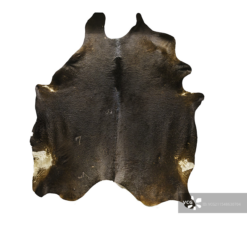 环境保护，整张的牛皮图片素材