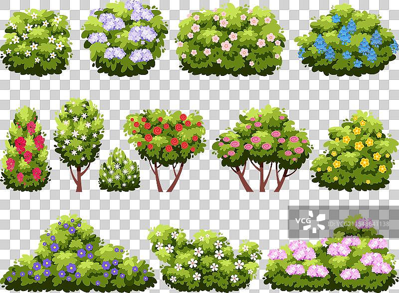 开花的灌木丛与花园植物图片素材