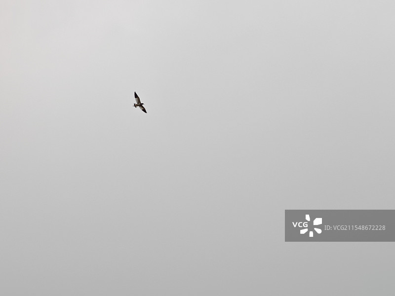 鸟瞰天空的低角度鸟瞰图图片素材