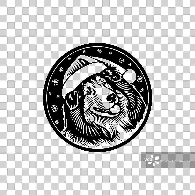 节日气氛中的快乐柯利犬设计 01图片素材