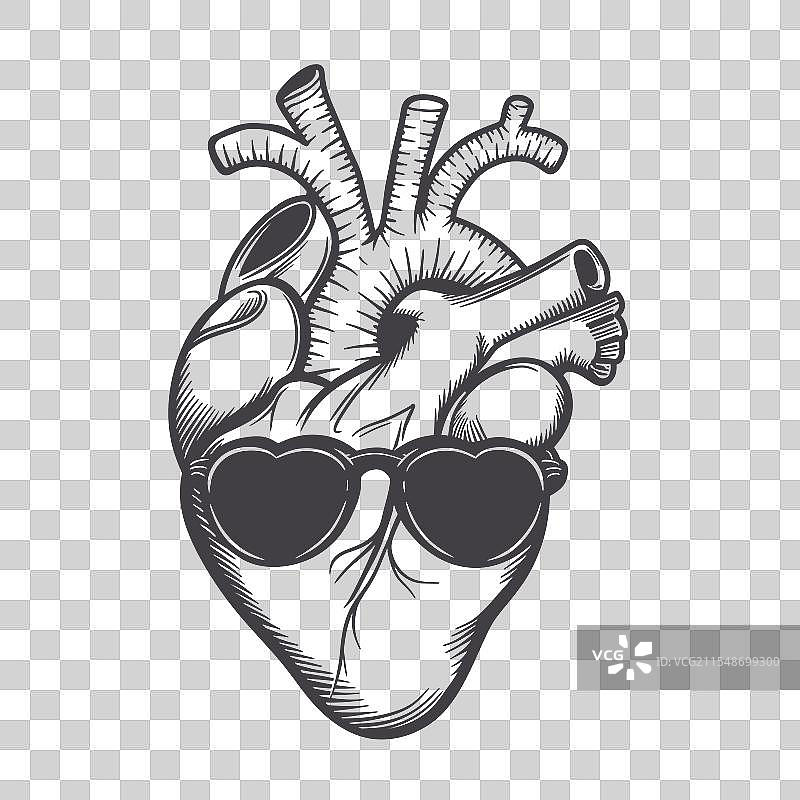 一颗风格化的人类心脏与一对图片素材