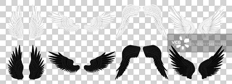 逼真的黑白动物翅膀图片素材