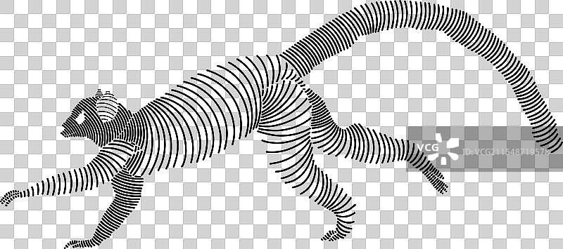 简单线条艺术的环尾狐猴 1图片素材