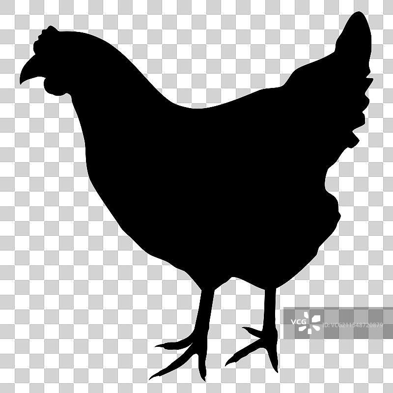 黑色轮廓的家禽鸡母鸡图标图片素材