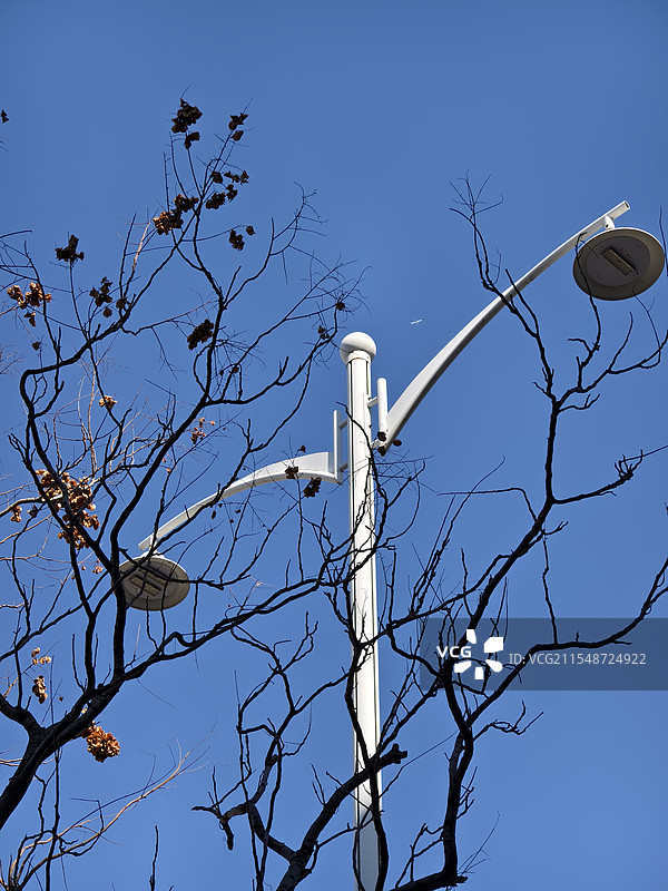 路边的路灯图片素材