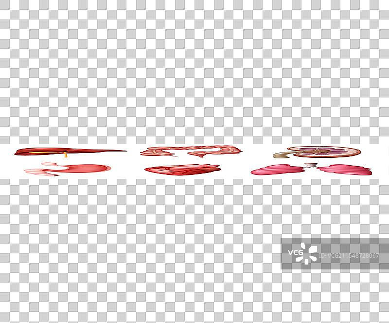 内部人类消化系统模型图片素材