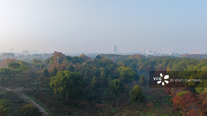 秋日清晨，晨雾笼罩的南京明孝陵景区图片素材