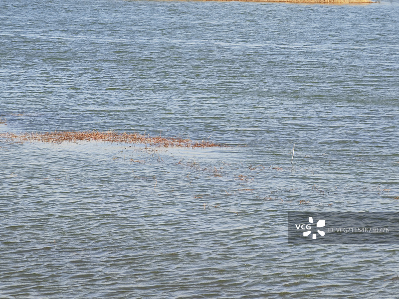 湖面 上海碧云绿地云天湖公园图片素材
