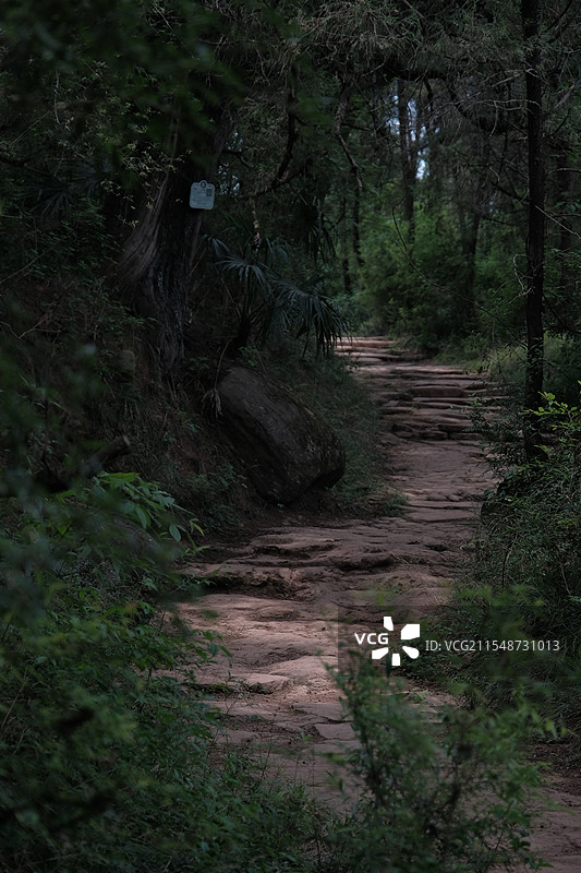 四川剑阁拦马墙，先秦古蜀道，千年古柏树图片素材