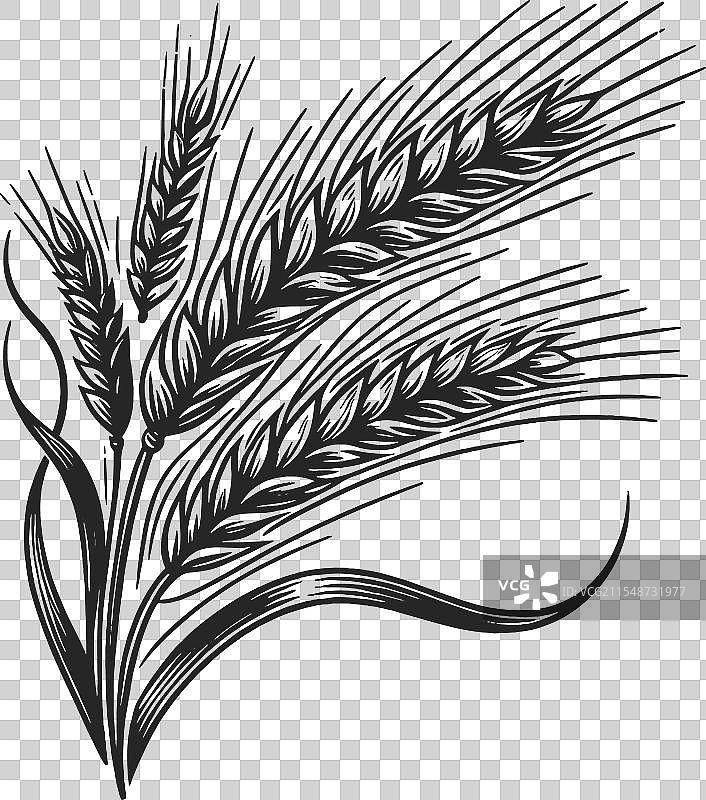 麦穗雕刻线条艺术图片素材