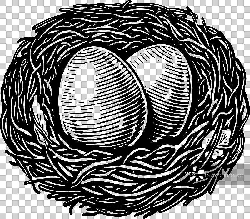 孤立在白色背景上的鸟巢中的鸡蛋图片素材