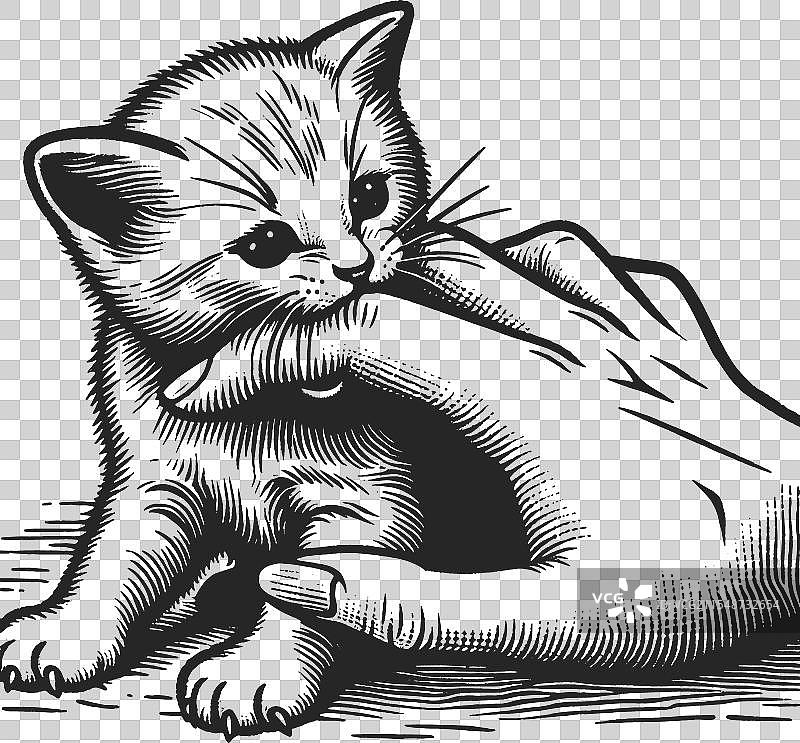 小猫咬手的雕刻素描图片素材