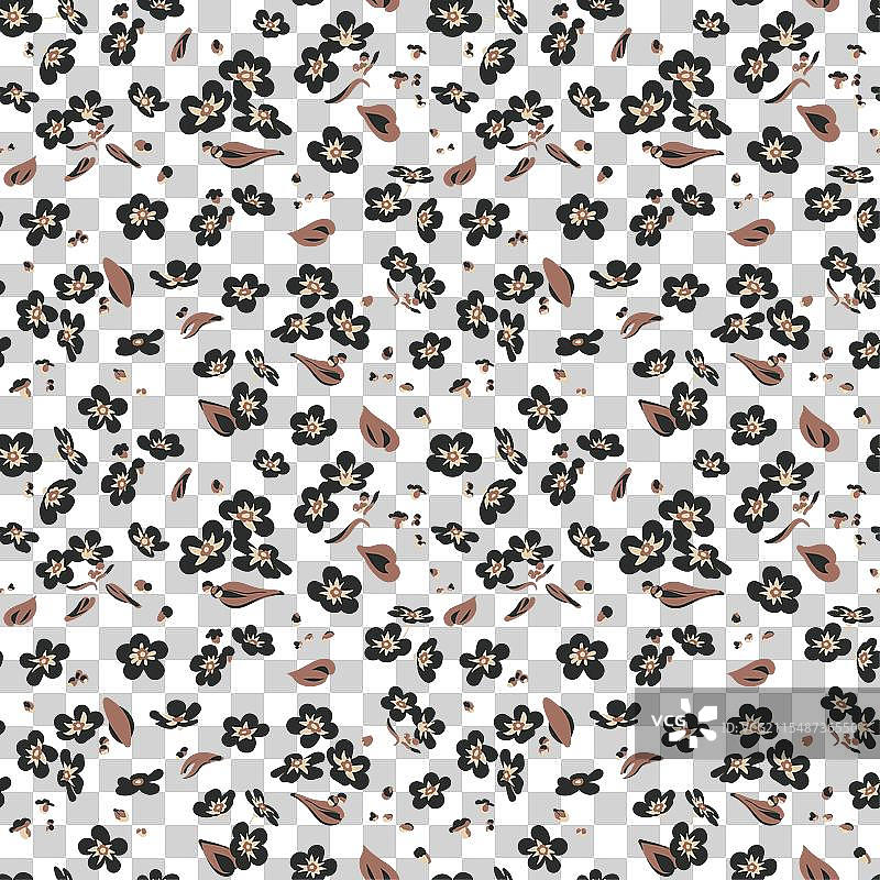 无缝图案与黑色花朵 - 忘忧草图片素材