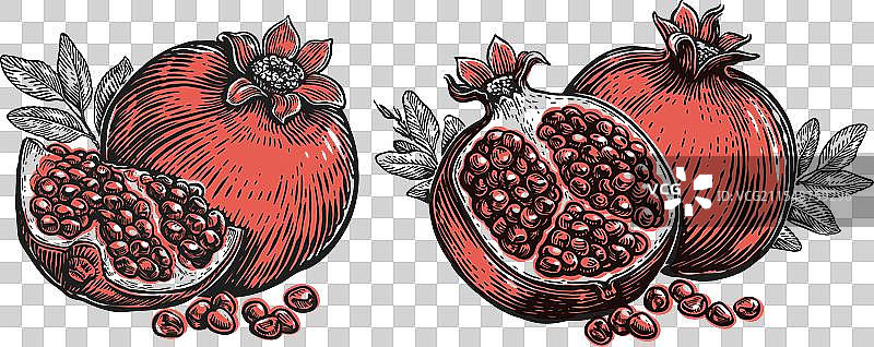 带籽和叶子的石榴热带水果图片素材