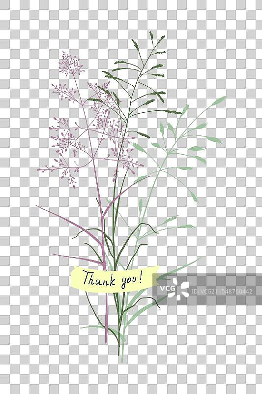 一束可爱的夏季草叶花束图片素材