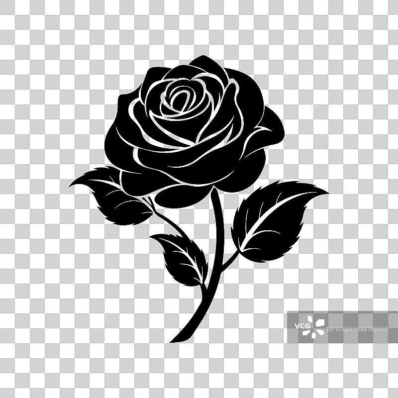 优雅的黑玫瑰艺术图片素材