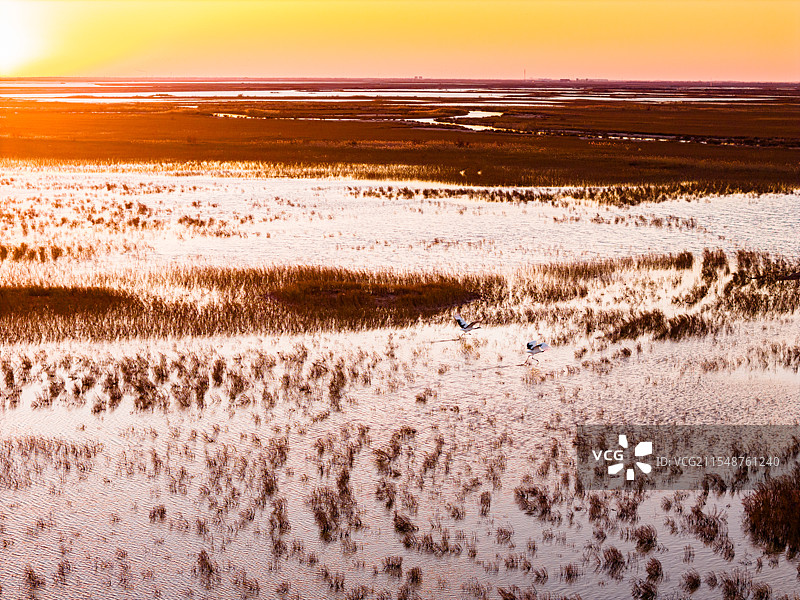 中国江河母亲河黄河生态湿地环境图片素材