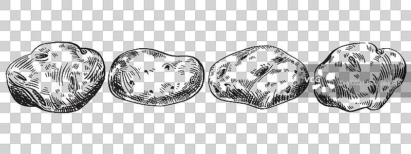 手绘墨水艺术作品集：胡椒系列图片素材