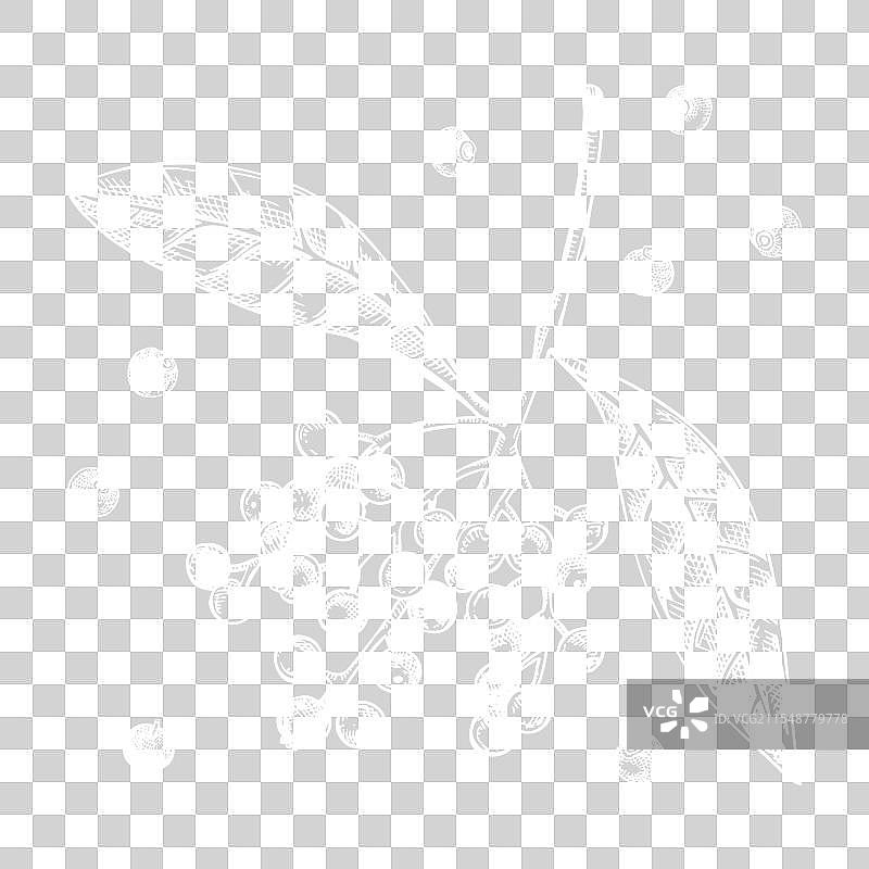 全香料素描套装，厨房香料与浆果图片素材