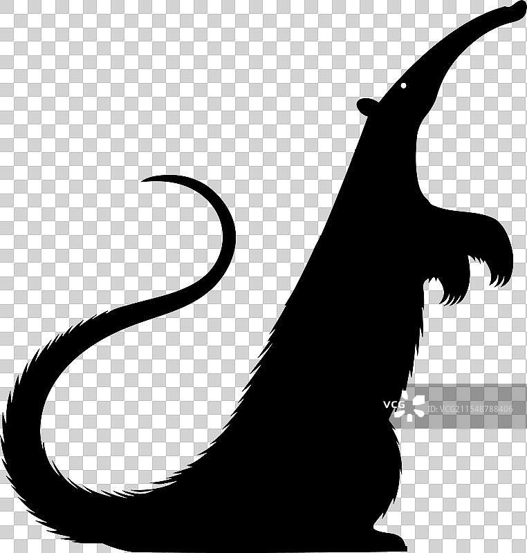 食蚁兽的剪影艺术作品图片素材