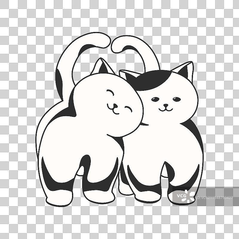 一对可爱的黑白猫正在散步图片素材