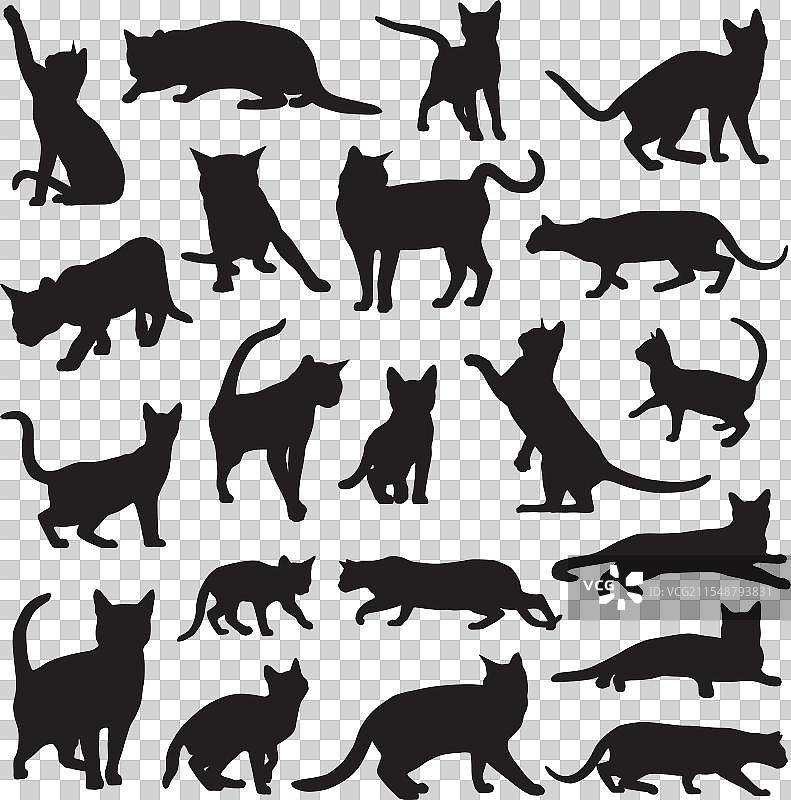 孟加拉猫剪影图片素材