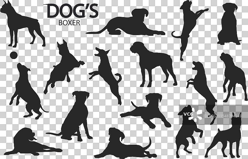 拳师犬剪影图片素材