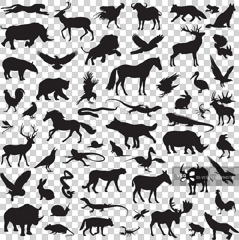 森林动物剪影图集图片素材