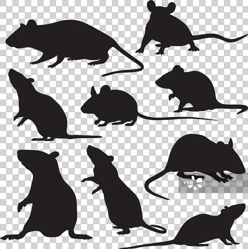 鼠标轮廓图片素材