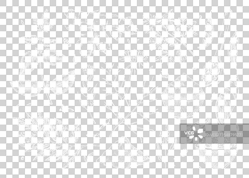 印度菜肴香草和香料素描系列咖喱图片素材